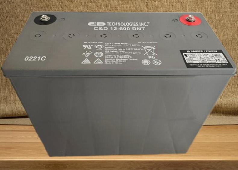 C&D西恩迪蓄電池C&D12-600DNT