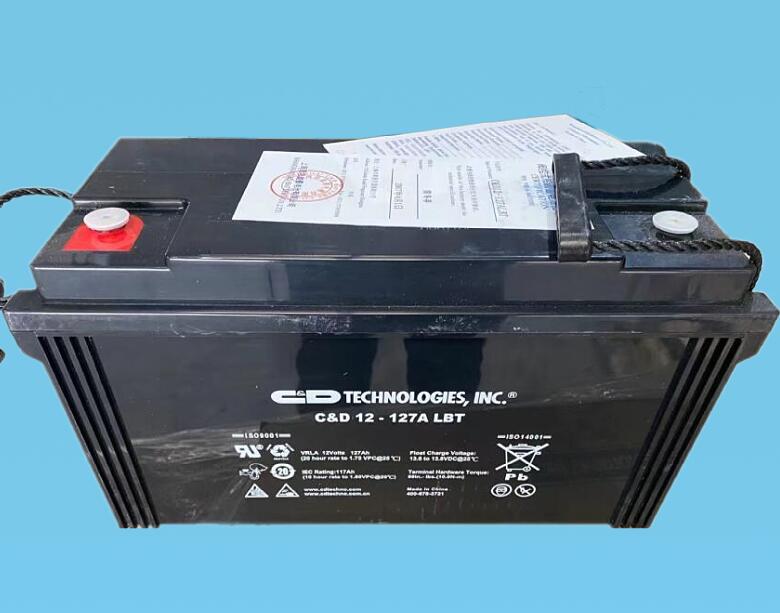 C&D西恩迪蓄電池C&D12-120LBT 12V120AH