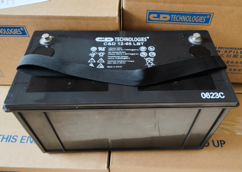 西恩迪蓄電池C&D12-65LBT 12V65AH